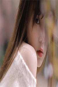 沐青婈宋文朝小说